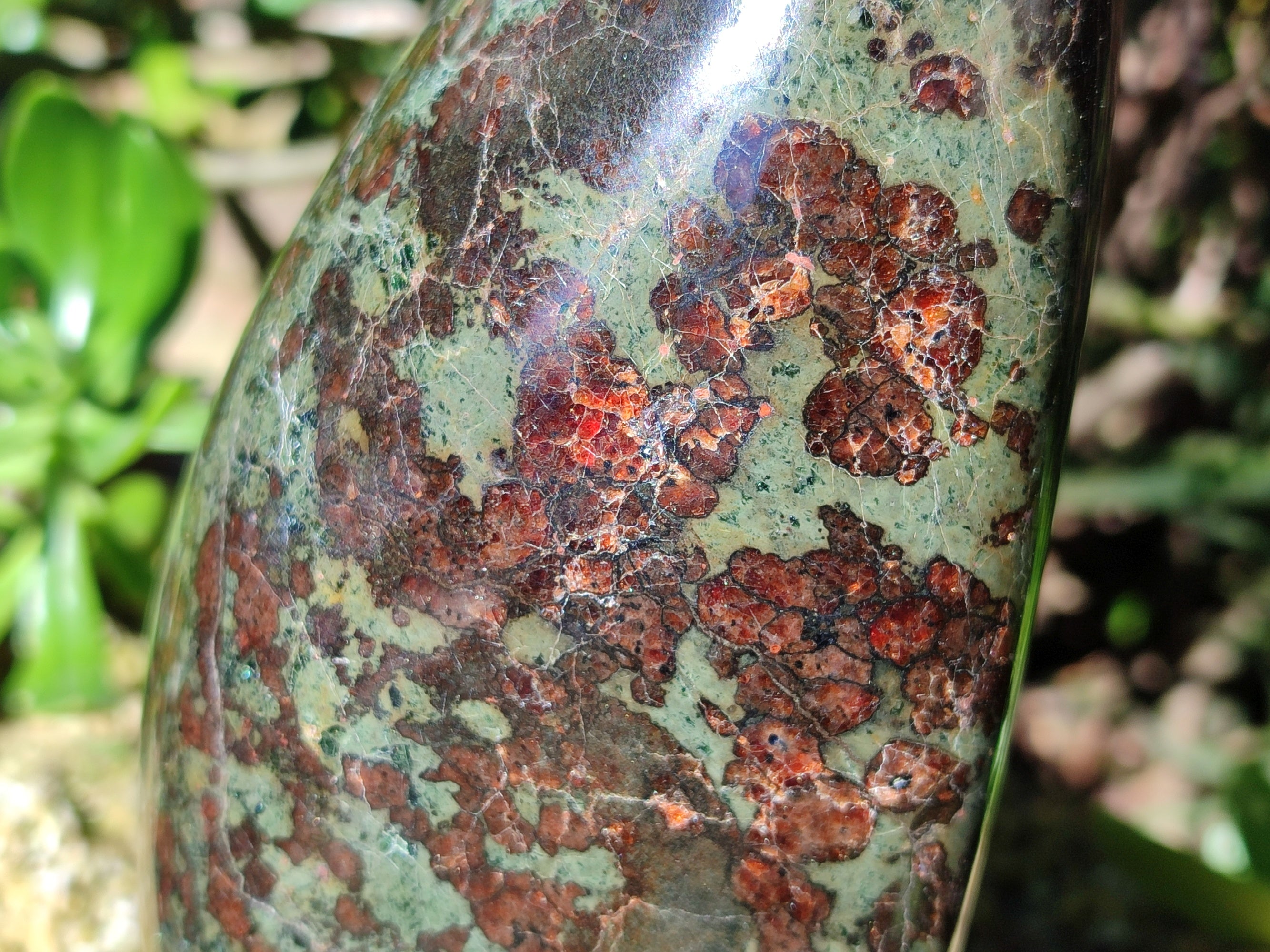 Polished Eclogite Standing Free Form x 1 From Northern Cape, South Africa - Toprock Gemstones and Minerals 