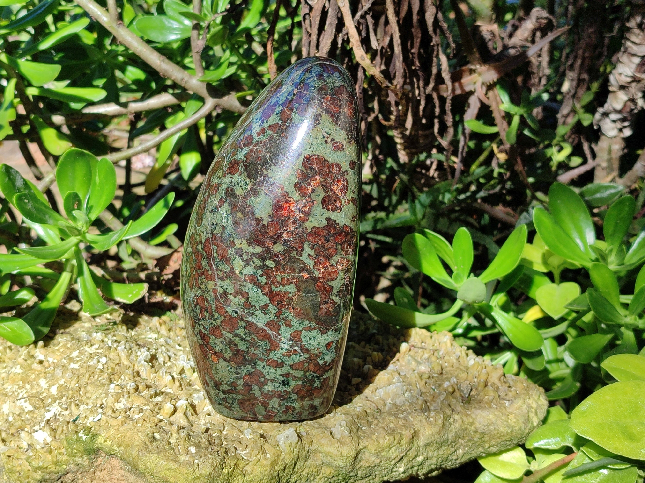 Polished Eclogite Standing Free Form x 1 From Northern Cape, South Africa - Toprock Gemstones and Minerals 