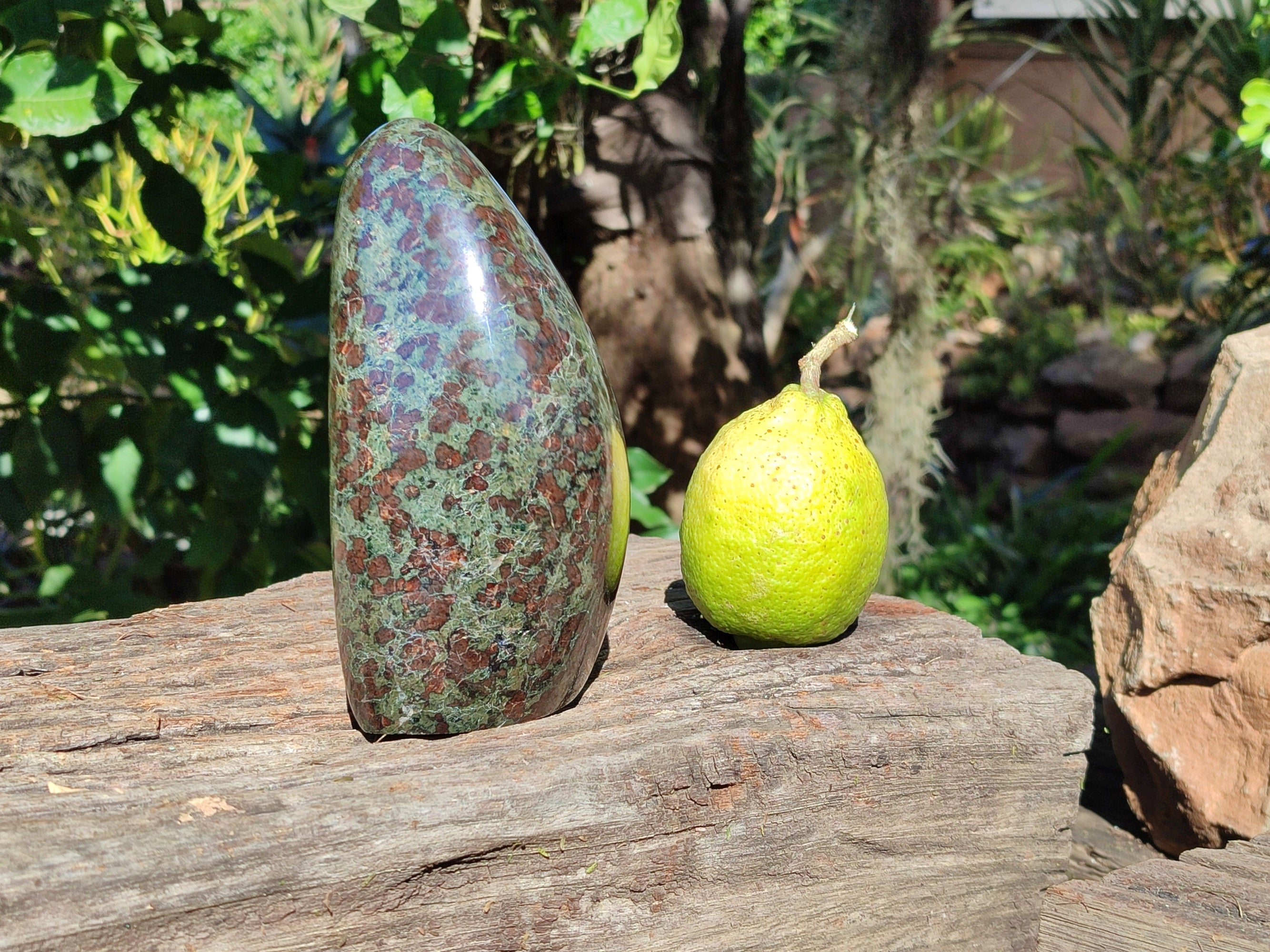 Polished Eclogite Standing Free Form x 1 From Northern Cape, South Africa - Toprock Gemstones and Minerals 