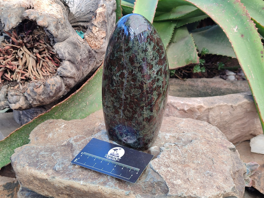 Polished Eclogite Standing Free Form x 1 From Northern Cape, South Africa - Toprock Gemstones and Minerals 