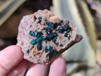 Natural Dioptase On Dolomite Specimens x 12 From Likasi, Congo - Toprock Gemstones and Minerals 