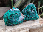 Natural Dioptase On Dolomite Specimens x 12 From Likasi, Congo - Toprock Gemstones and Minerals 