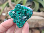 Natural Dioptase On Dolomite Specimens x 12 From Likasi, Congo - Toprock Gemstones and Minerals 