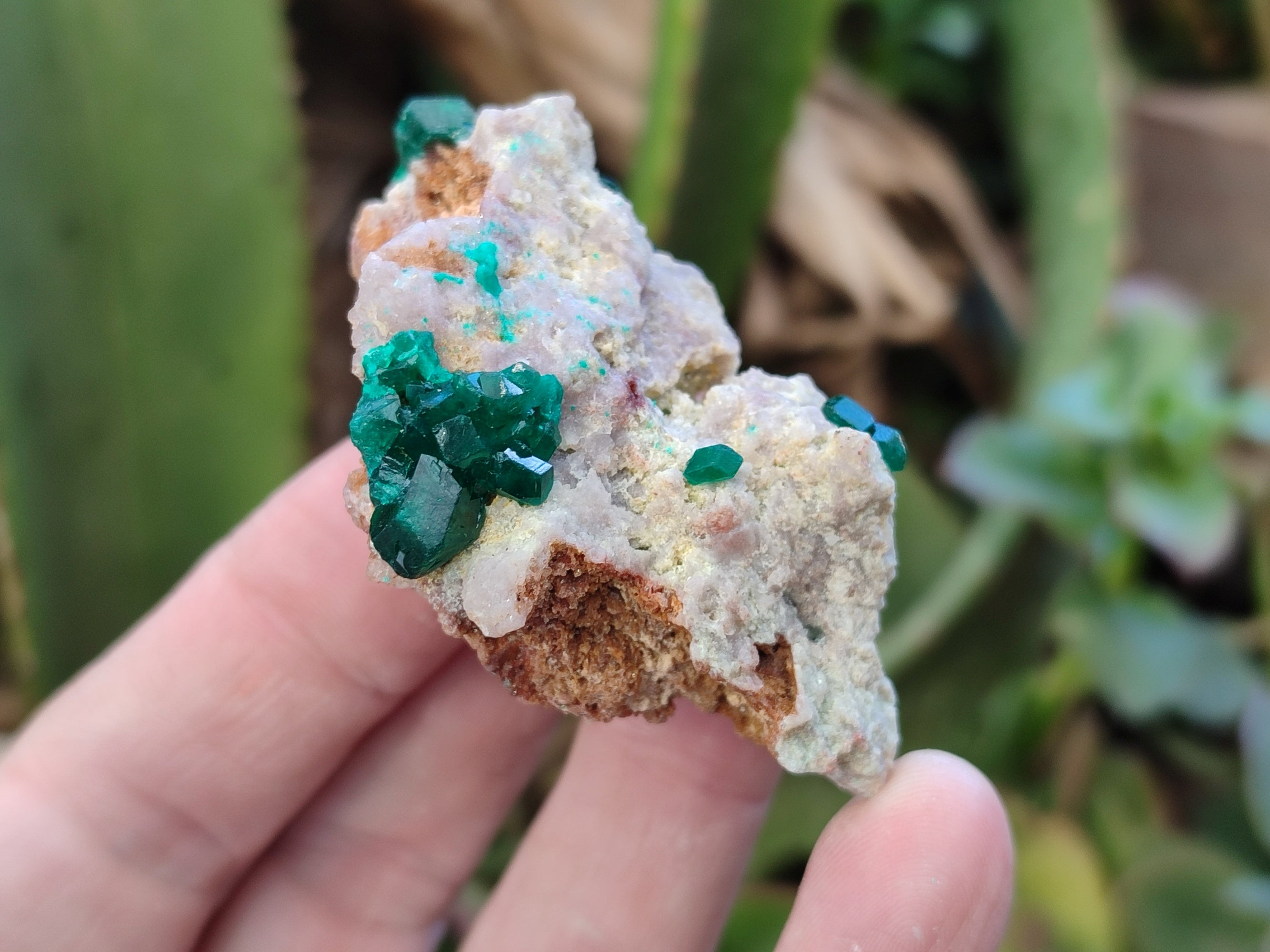 Natural Dioptase On Dolomite Specimens x 12 From Likasi, Congo - Toprock Gemstones and Minerals 