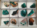 Natural Dioptase On Dolomite Specimens x 12 From Likasi, Congo - Toprock Gemstones and Minerals 