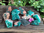 Natural Dioptase On Dolomite Specimens x 12 From Likasi, Congo - Toprock Gemstones and Minerals 