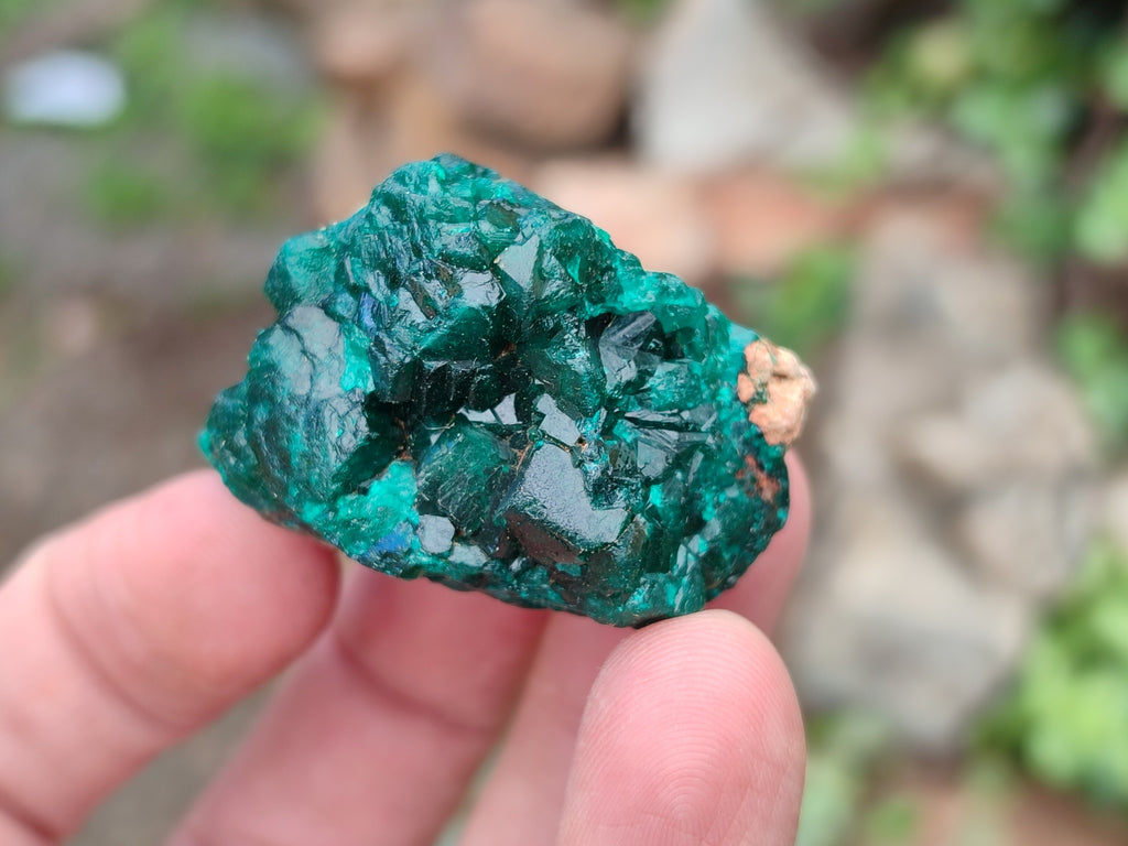Natural Dioptase On Dolomite Specimens x 12 From Likasi, Congo - Toprock Gemstones and Minerals 