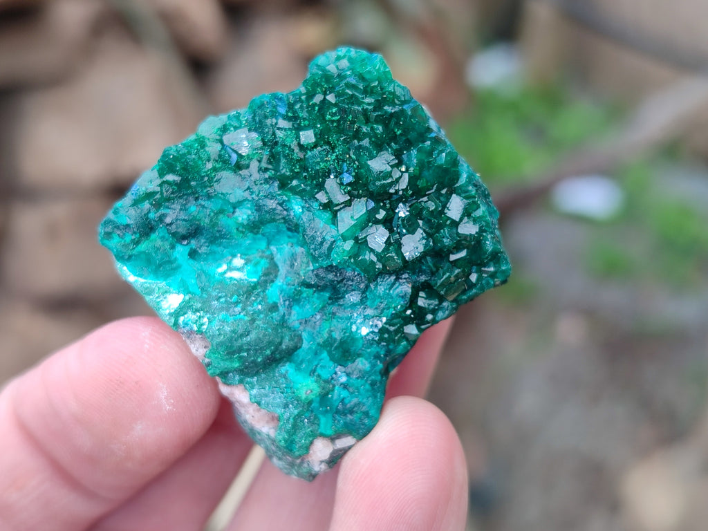 Natural Dioptase On Dolomite Specimens x 12 From Likasi, Congo - Toprock Gemstones and Minerals 