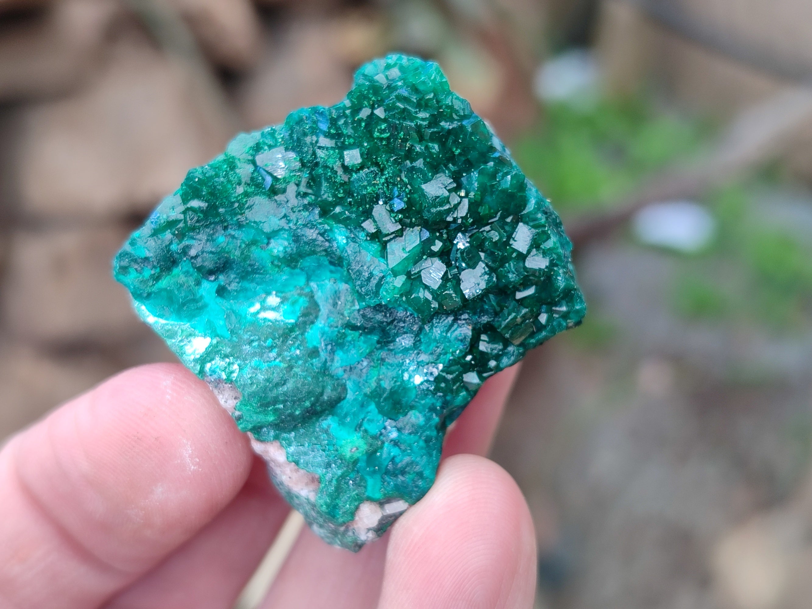 Natural Dioptase On Dolomite Specimens x 12 From Likasi, Congo - Toprock Gemstones and Minerals 