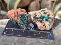 Natural Dioptase On Dolomite Specimens x 12 From Likasi, Congo - Toprock Gemstones and Minerals 