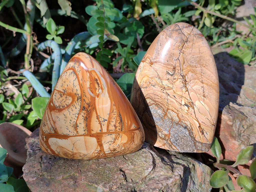 Polished Picture Stone Jasper Standing Free Forms x 3 From Ais-Ais, Namibia - Toprock Gemstones and Minerals 