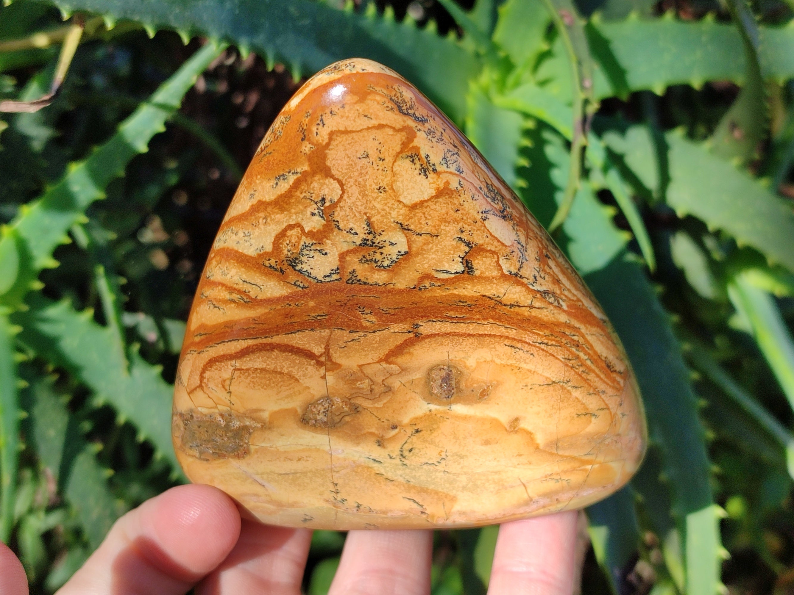 Polished Picture Stone Jasper Standing Free Forms x 3 From Ais-Ais, Namibia - Toprock Gemstones and Minerals 