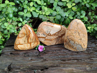 Polished Picture Stone Jasper Standing Free Forms x 3 From Ais-Ais, Namibia - Toprock Gemstones and Minerals 