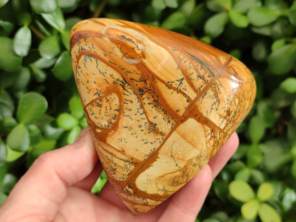 Polished Picture Stone Jasper Standing Free Forms x 3 From Ais-Ais, Namibia - Toprock Gemstones and Minerals 