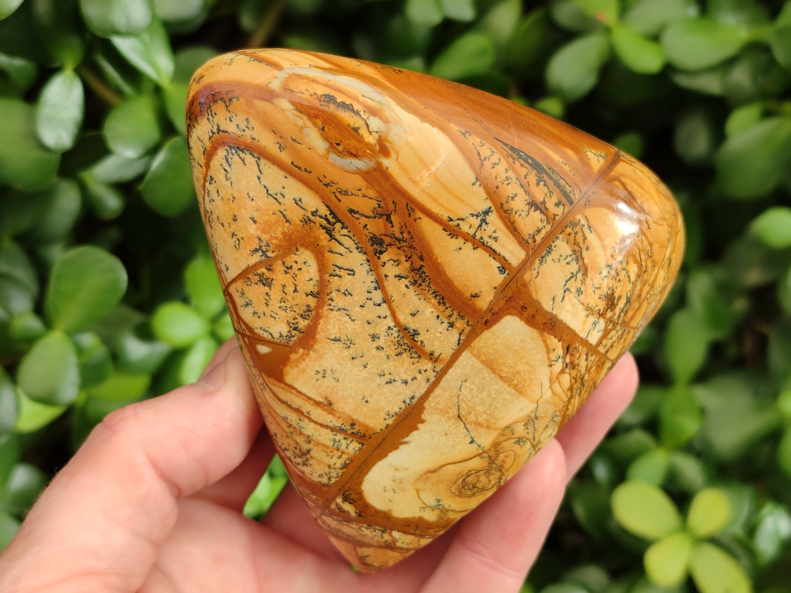 Polished Picture Stone Jasper Standing Free Forms x 3 From Ais-Ais, Namibia - Toprock Gemstones and Minerals 