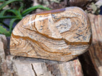 Polished Picture Stone Jasper Standing Free Forms x 3 From Ais-Ais, Namibia - Toprock Gemstones and Minerals 