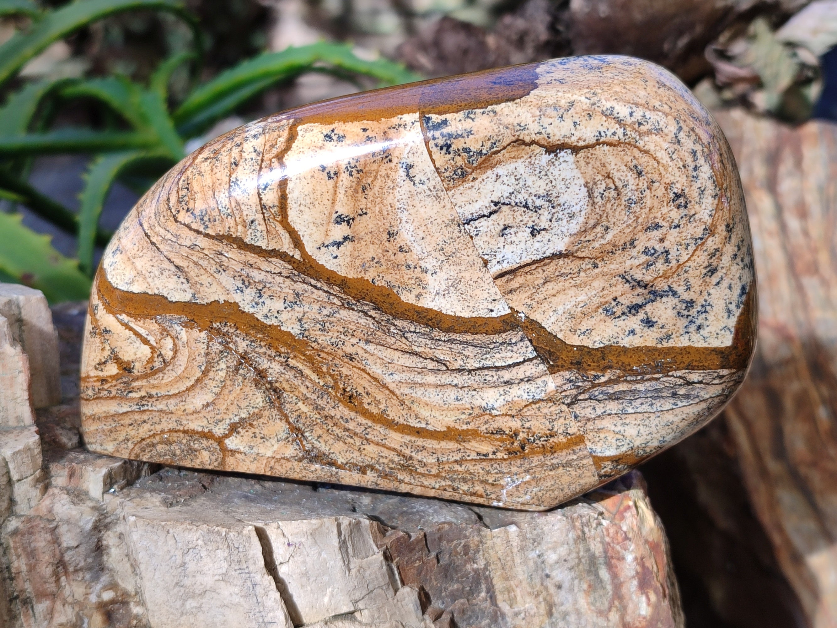Polished Picture Stone Jasper Standing Free Forms x 3 From Ais-Ais, Namibia - Toprock Gemstones and Minerals 