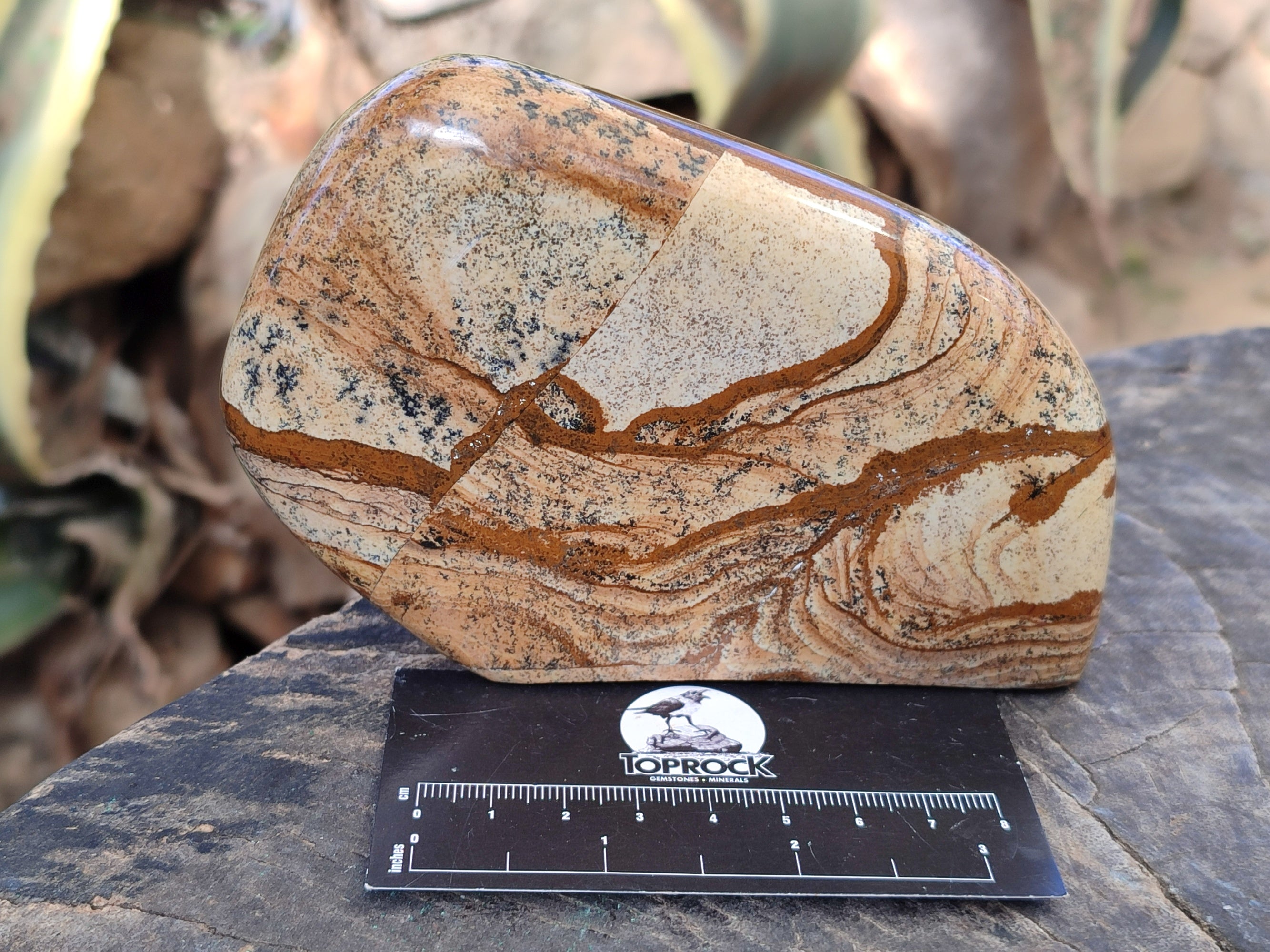 Polished Picture Stone Jasper Standing Free Forms x 3 From Ais-Ais, Namibia - Toprock Gemstones and Minerals 