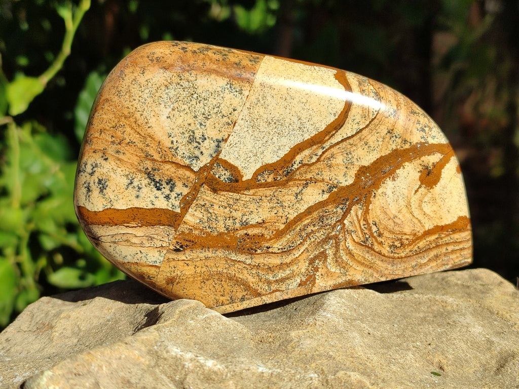 Polished Picture Stone Jasper Standing Free Forms x 3 From Ais-Ais, Namibia - Toprock Gemstones and Minerals 
