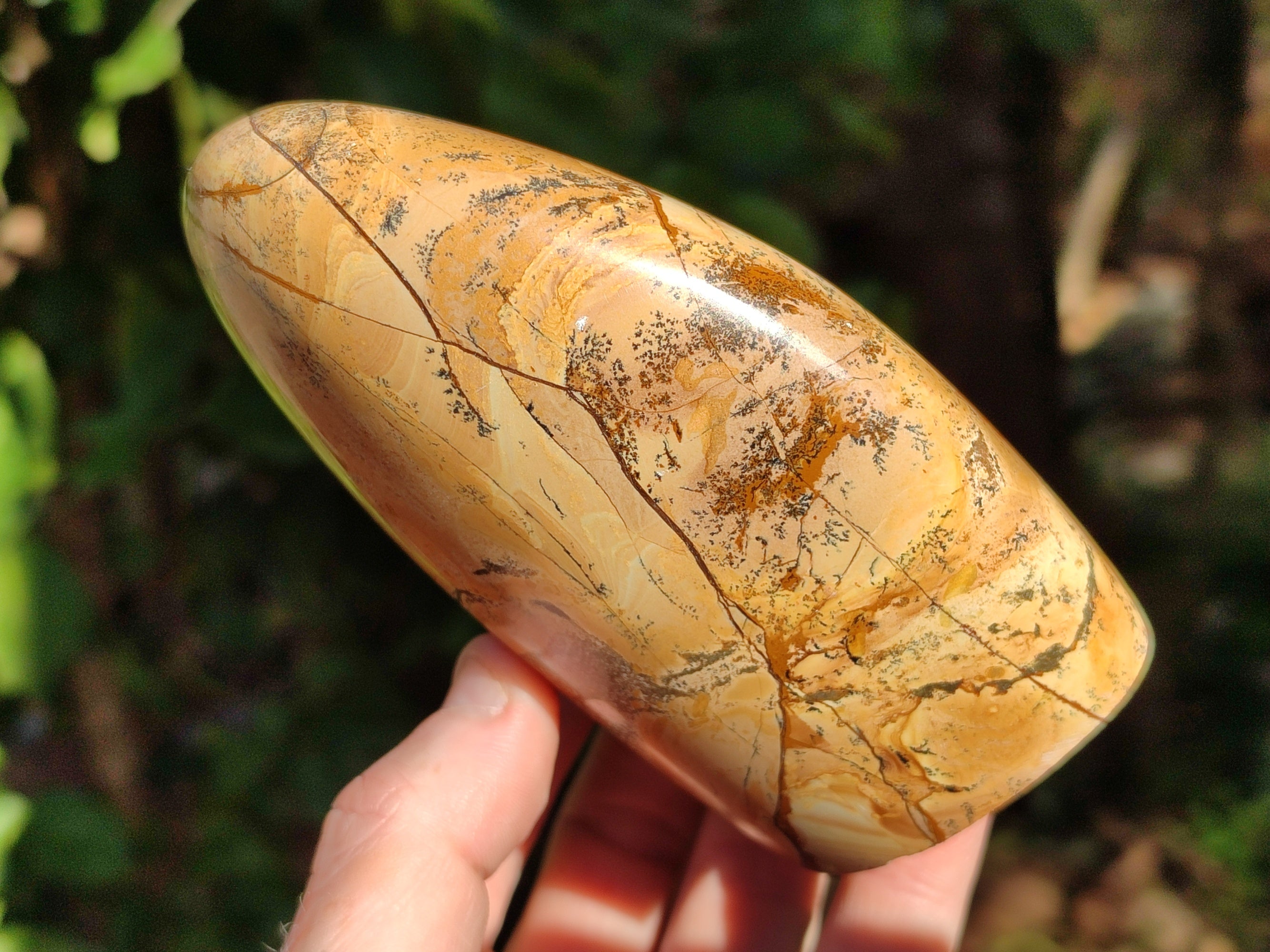 Polished Picture Stone Jasper Standing Free Forms x 3 From Ais-Ais, Namibia - Toprock Gemstones and Minerals 