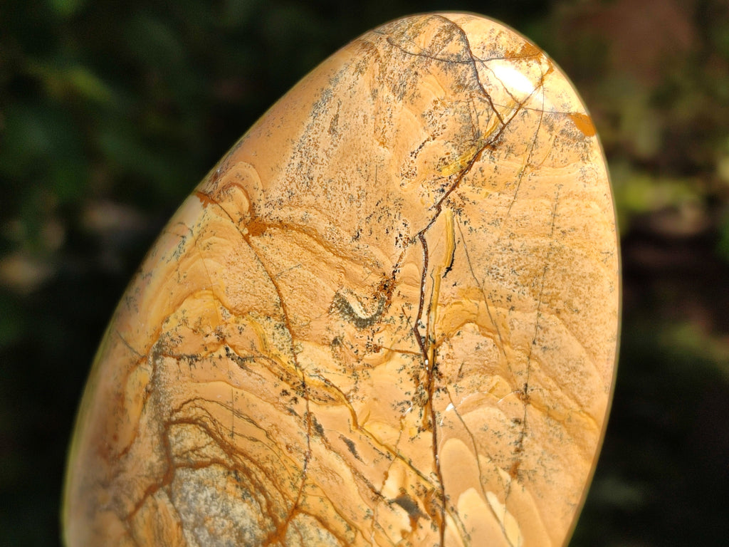 Polished Picture Stone Jasper Standing Free Forms x 3 From Ais-Ais, Namibia - Toprock Gemstones and Minerals 