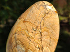 Polished Picture Stone Jasper Standing Free Forms x 3 From Ais-Ais, Namibia - Toprock Gemstones and Minerals 