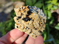 Natural Schorl Black Tourmaline Crystal Specimens on Orthoclase Matrix x 35 From Erongo, Namibia - Toprock Gemstones and Minerals 
