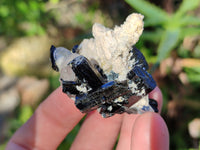 Natural Schorl Black Tourmaline Crystal Specimens on Orthoclase Matrix x 35 From Erongo, Namibia - Toprock Gemstones and Minerals 