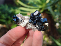 Natural Schorl Black Tourmaline Crystal Specimens on Orthoclase Matrix x 35 From Erongo, Namibia - Toprock Gemstones and Minerals 