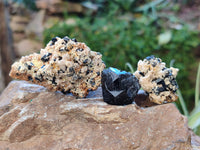 Natural Schorl Black Tourmaline Crystal Specimens on Orthoclase Matrix x 35 From Erongo, Namibia - Toprock Gemstones and Minerals 