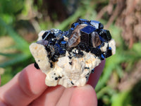 Natural Schorl Black Tourmaline Crystal Specimens on Orthoclase Matrix x 35 From Erongo, Namibia - Toprock Gemstones and Minerals 