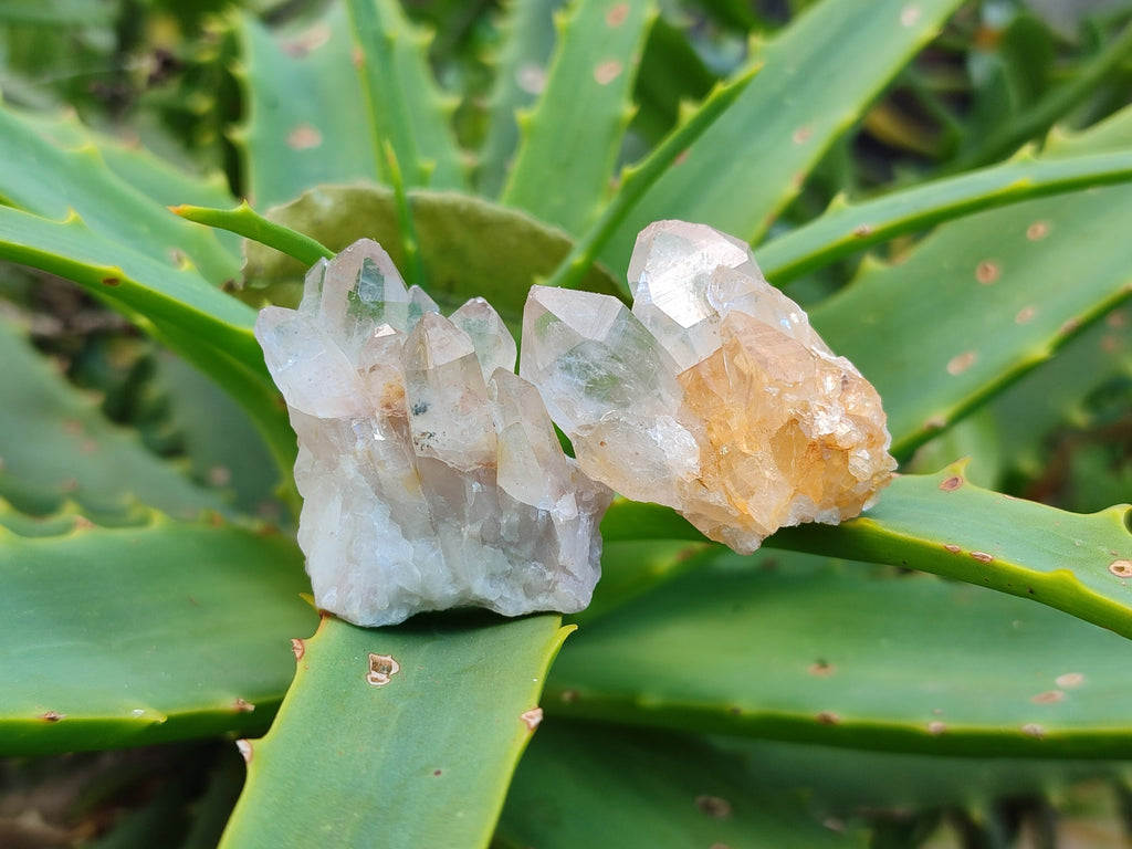 Natural Mixed Quartz Specimens x 2.1 Kg Lot From Southern Africa - Toprock Gemstones and Minerals 