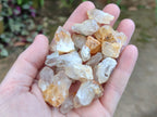 Natural Mixed Quartz Specimens x 2.1 Kg Lot From Southern Africa - Toprock Gemstones and Minerals 