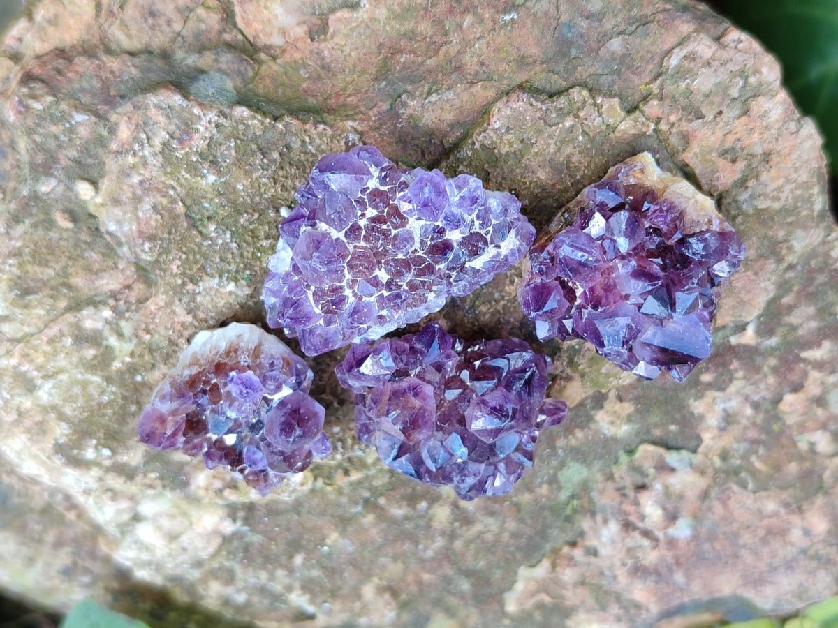 Natural Mixed Quartz Specimens x 2.1 Kg Lot From Southern Africa - Toprock Gemstones and Minerals 