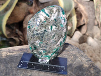 Polished Emerald Mica In Matrix Standing Free Forms x 2 From Mutoko, Zimbabwe - Toprock Gemstones and Minerals 