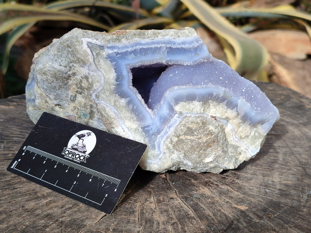 Natural Blue Lace Agate Geode x 1 From Nsanje, Malawi - Toprock Gemstones and Minerals 