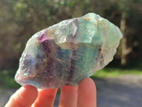 Natural Fluorescent Watermelon Fluorite Cobbed Specimens x 12 From Uis, Namibia - Toprock Gemstones and Minerals 