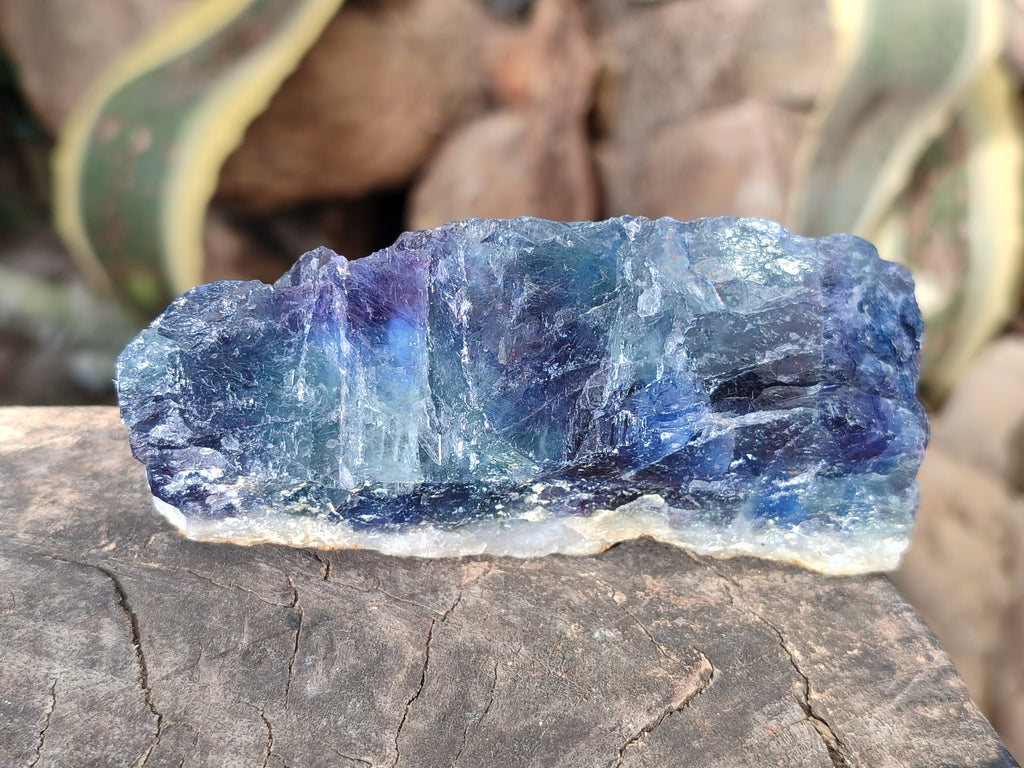 Natural Fluorescent Watermelon Fluorite Cobbed Specimens x 12 From Uis, Namibia - Toprock Gemstones and Minerals 