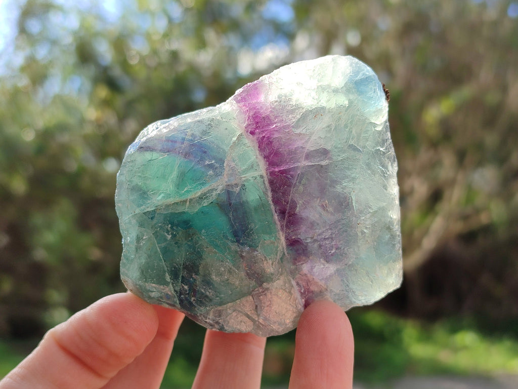 Natural Fluorescent Watermelon Fluorite Cobbed Specimens x 12 From Uis, Namibia - Toprock Gemstones and Minerals 