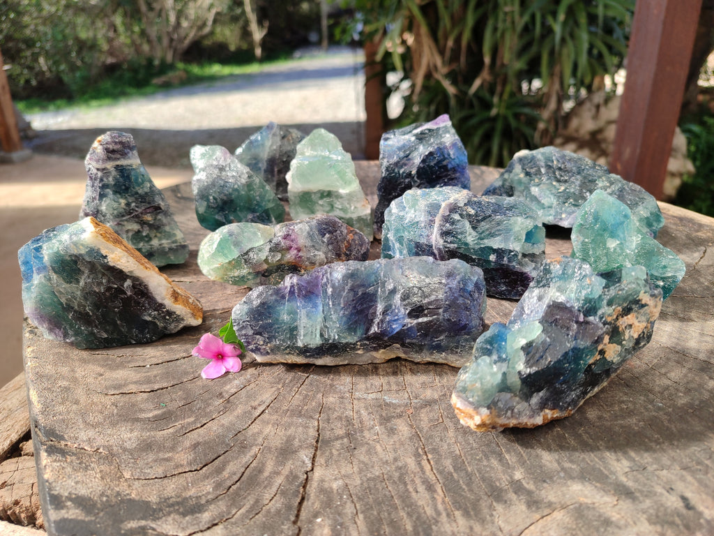 Natural Fluorescent Watermelon Fluorite Cobbed Specimens x 12 From Uis, Namibia - Toprock Gemstones and Minerals 