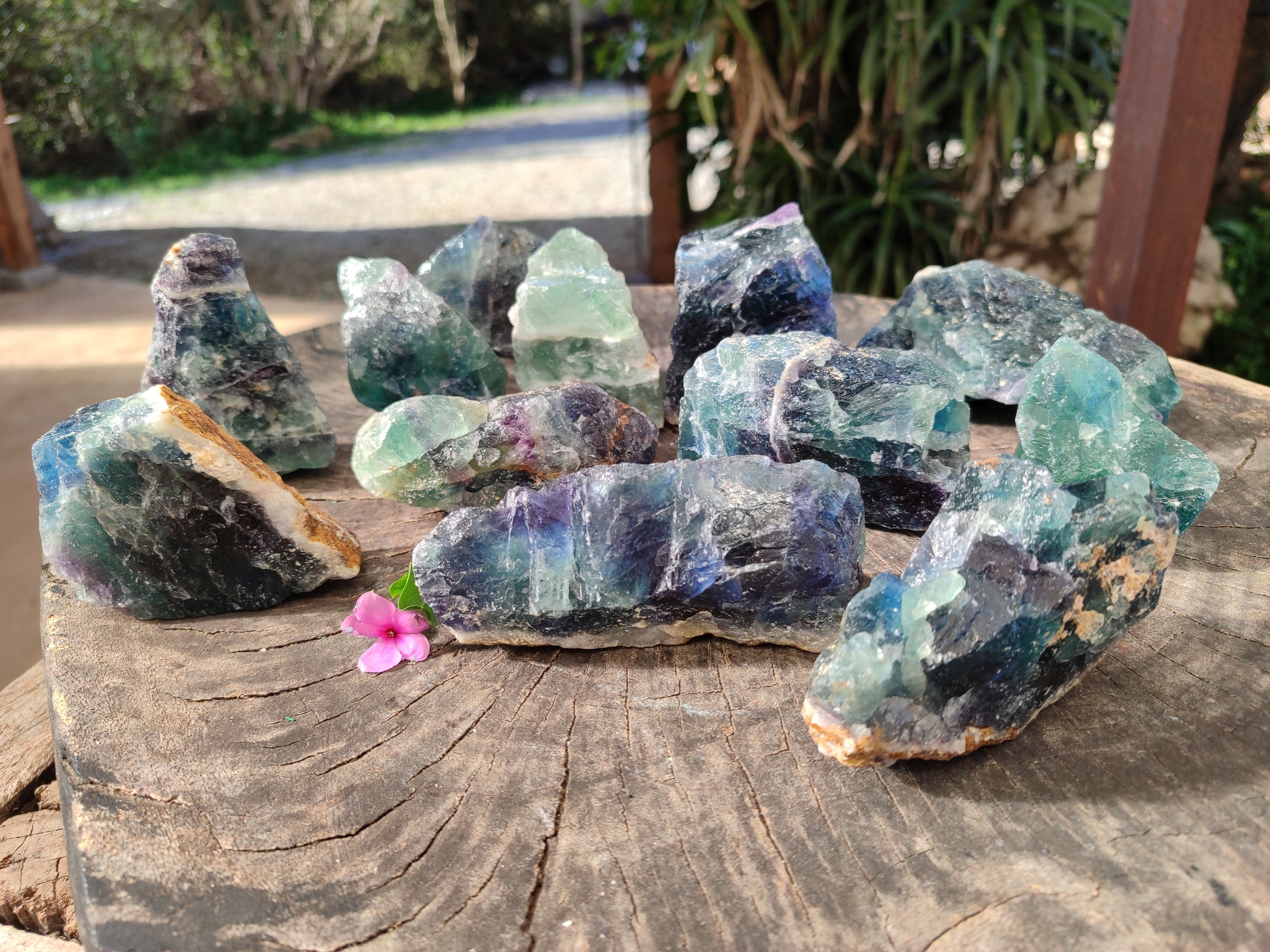 Natural Fluorescent Watermelon Fluorite Cobbed Specimens x 12 From Uis, Namibia - Toprock Gemstones and Minerals 