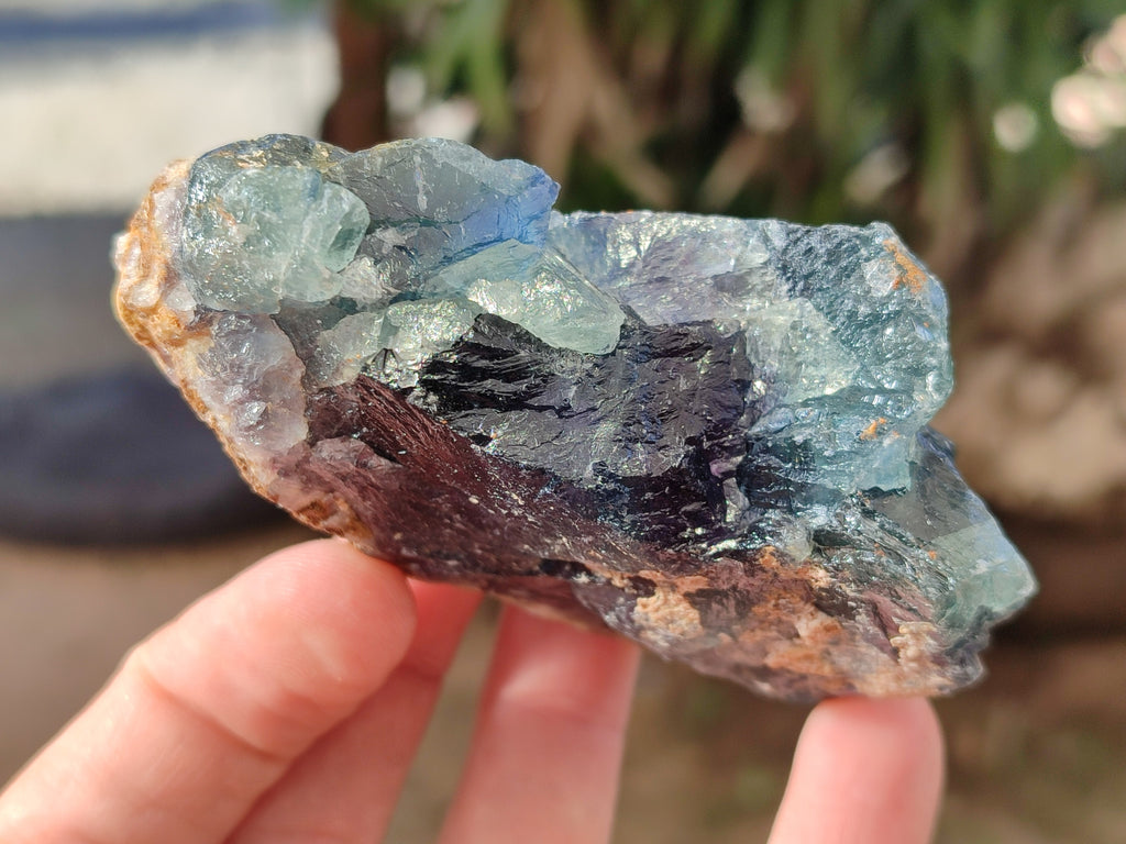 Natural Fluorescent Watermelon Fluorite Cobbed Specimens x 12 From Uis, Namibia - Toprock Gemstones and Minerals 