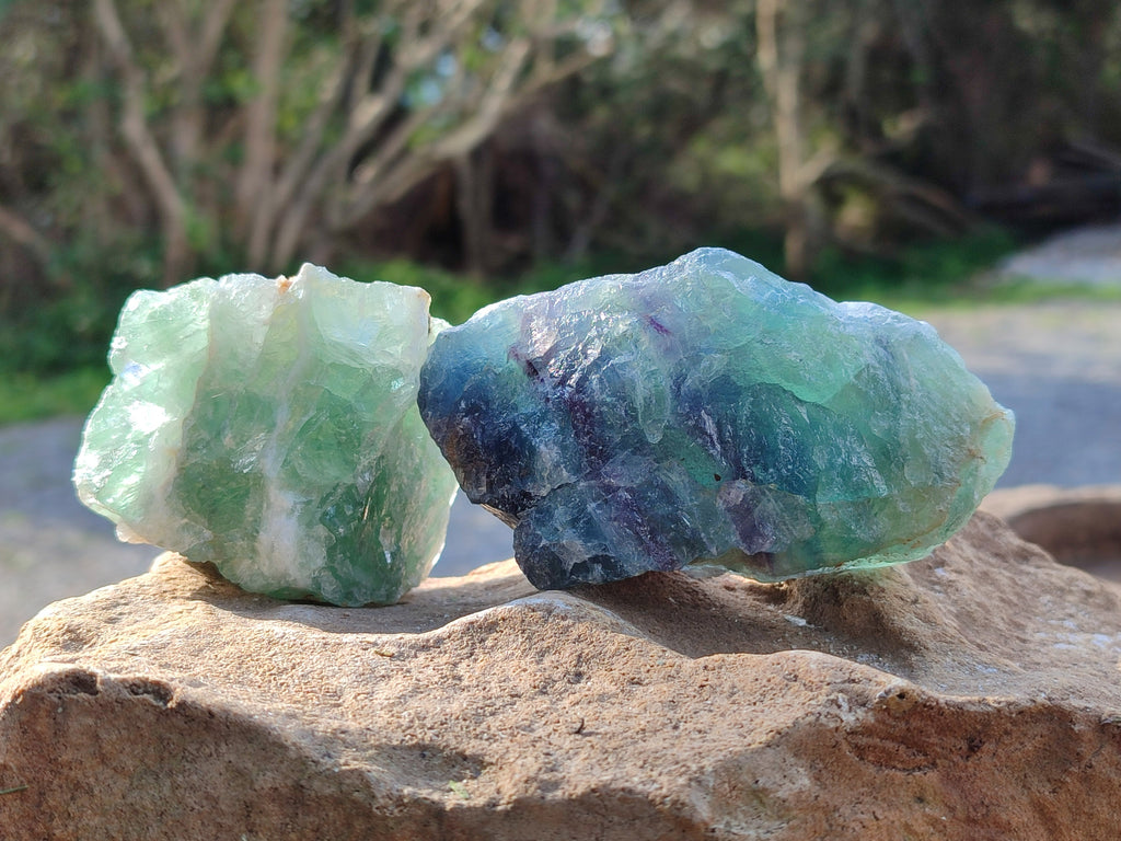 Natural Fluorescent Watermelon Fluorite Cobbed Specimens x 12 From Uis, Namibia - Toprock Gemstones and Minerals 