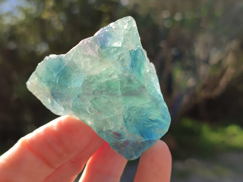 Natural Fluorescent Watermelon Fluorite Cobbed Specimens x 12 From Uis, Namibia - Toprock Gemstones and Minerals 