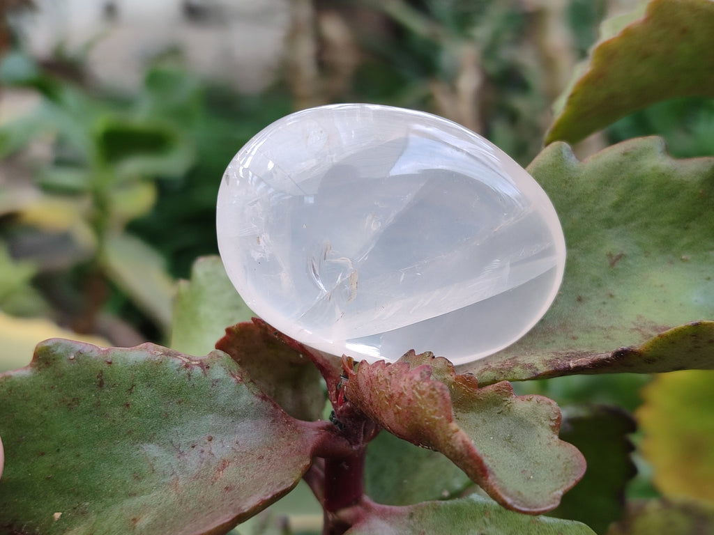 Polished Pearl Girasol Quartz Crystal Palm Stones x 25 From Ambatondrazaka, Madagascar - Toprock Gemstones and Minerals 