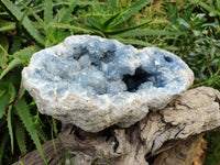 Natural Large Celestite Geode Specimen x 1 From Sakoany, Madagascar
