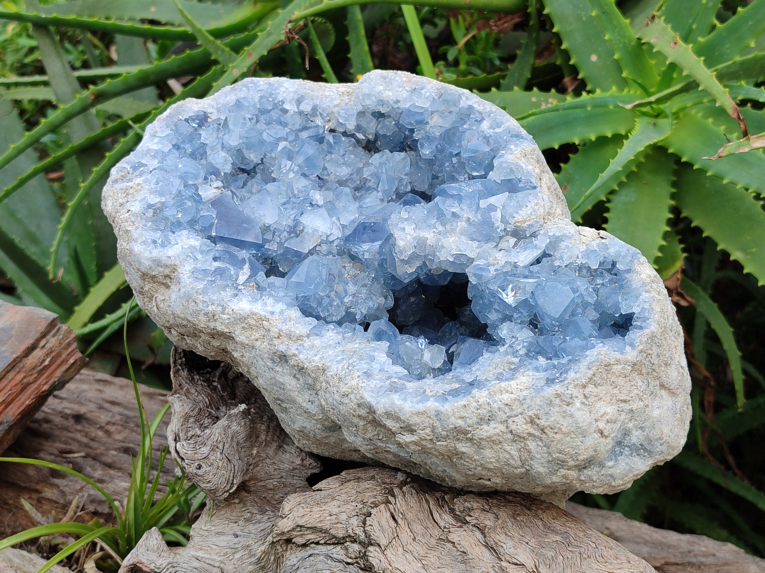 Natural Large Celestite Geode Specimen x 1 From Sakoany, Madagascar - Toprock Gemstones and Minerals 