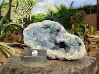 Natural Large Celestite Geode Specimen x 1 From Sakoany, Madagascar