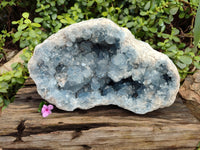 Natural Large Celestite Geode Specimen x 1 From Sakoany, Madagascar