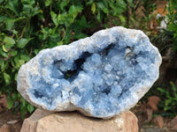 Natural Large Celestite Geode Specimen x 1 From Sakoany, Madagascar